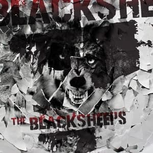 Album cover art for The Black Sheeps