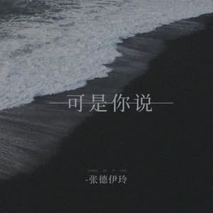 Album cover art for 可是你说