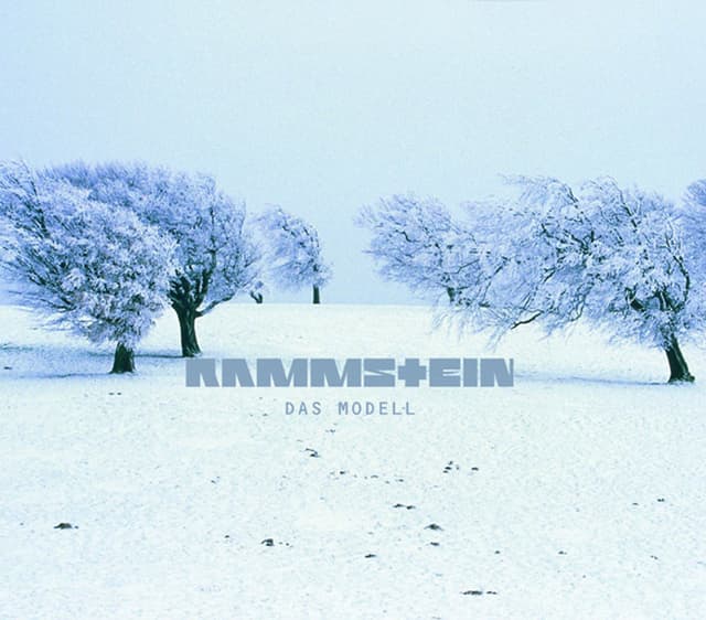 Album cover art for Das Modell