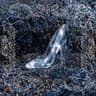 シンデレラ (Cinderella)