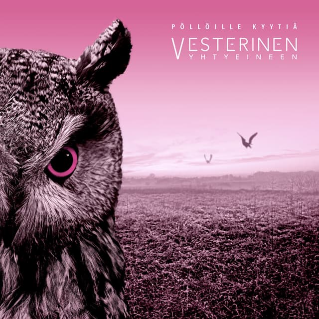 Album cover art for Pöllöille kyytiä