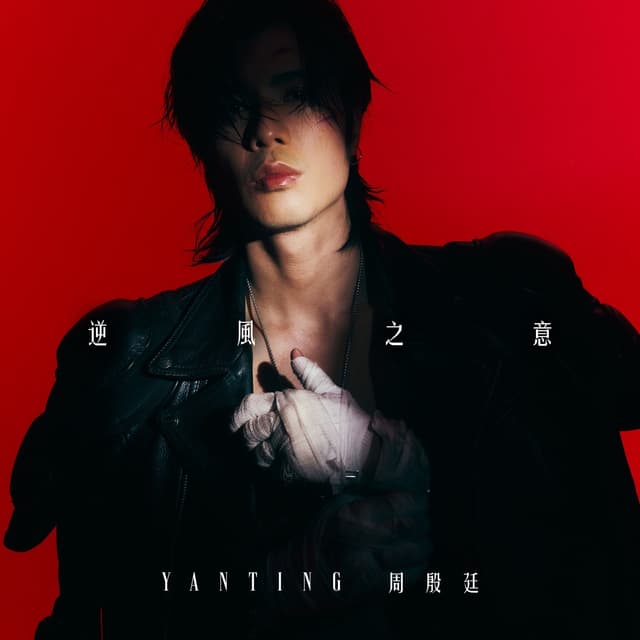 Album cover art for 逆風之意