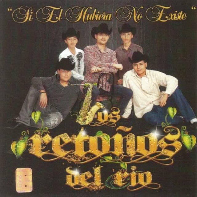 Album cover art for Si el Hubiera No Existe
