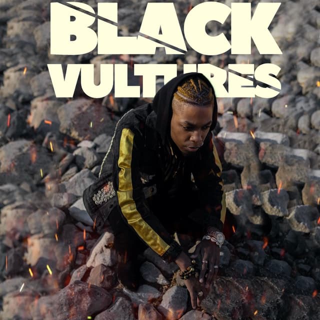 Album cover art for Black Vultures