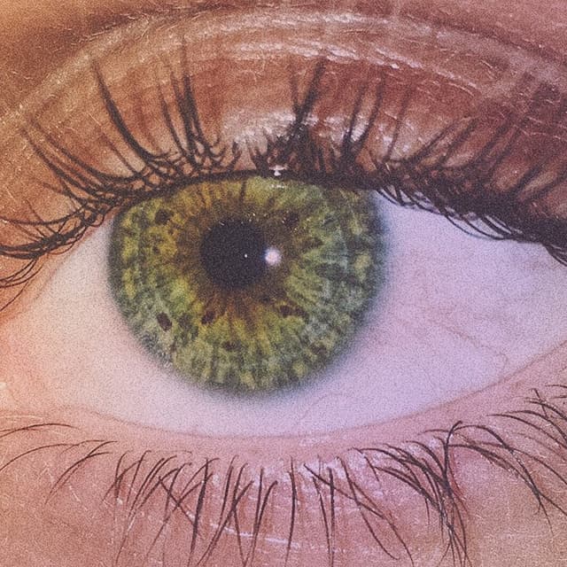 Album cover art for Grüne Augen lügen nicht