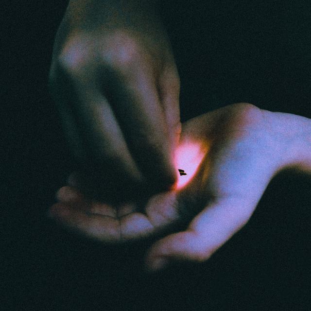 Album cover art for Stray