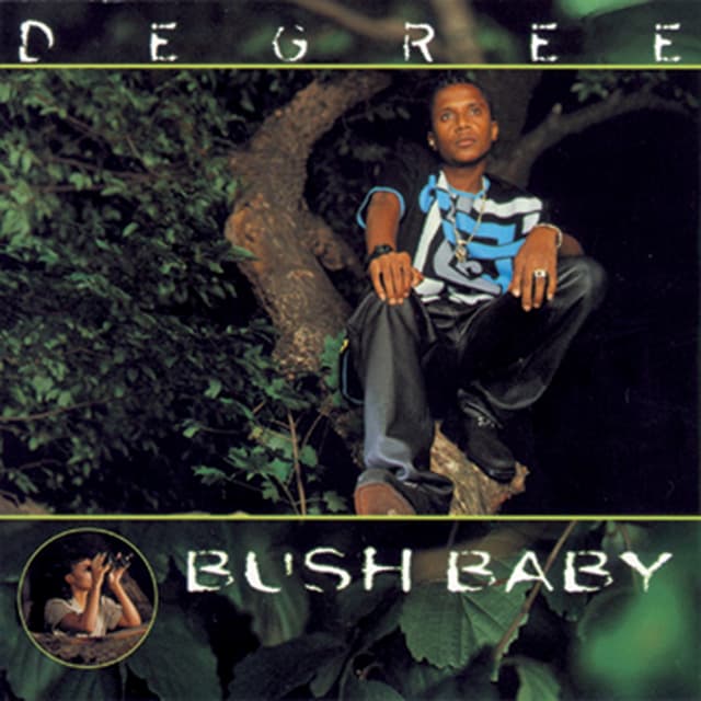 Album cover art for Bush Baby
