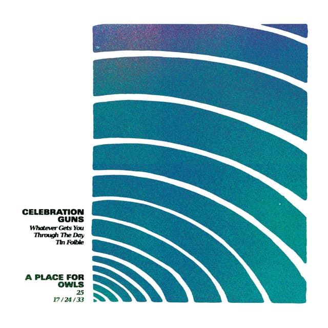 Album cover art for Celebration Guns / A Place For Owls