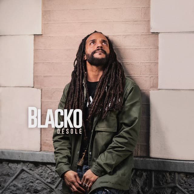 Album cover art for Désolé