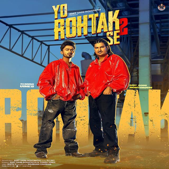 Album cover art for Yo Rohtak Se 2