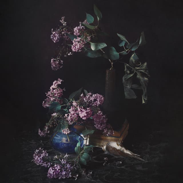 Album cover art for La Bohème