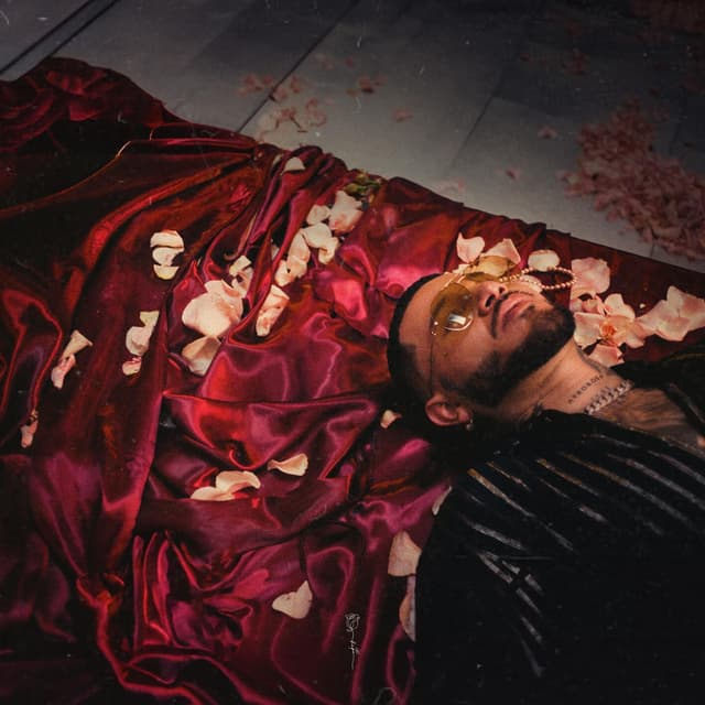 Album cover art for BOMBÓN