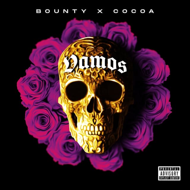 Album cover art for VAMOS