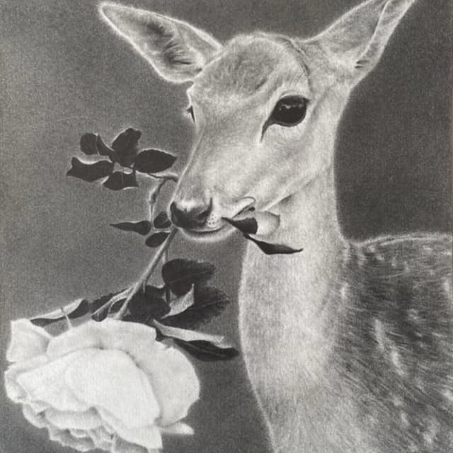 Album cover art for Meaningful Love