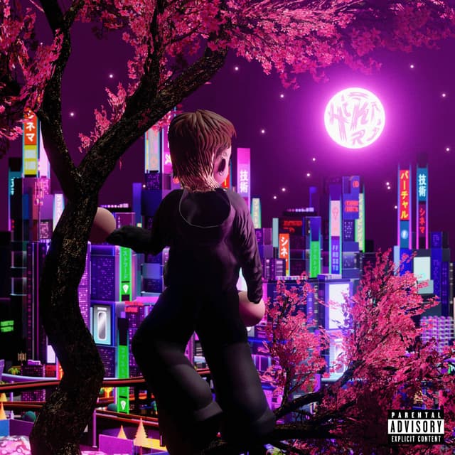 Album cover art for Hi-Kari