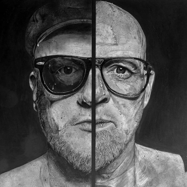 Album cover art for MEGA D