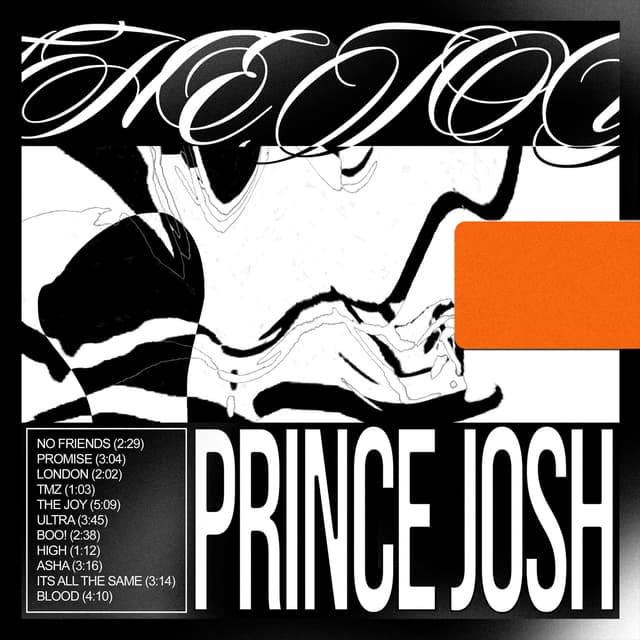 Album cover art for The Joy