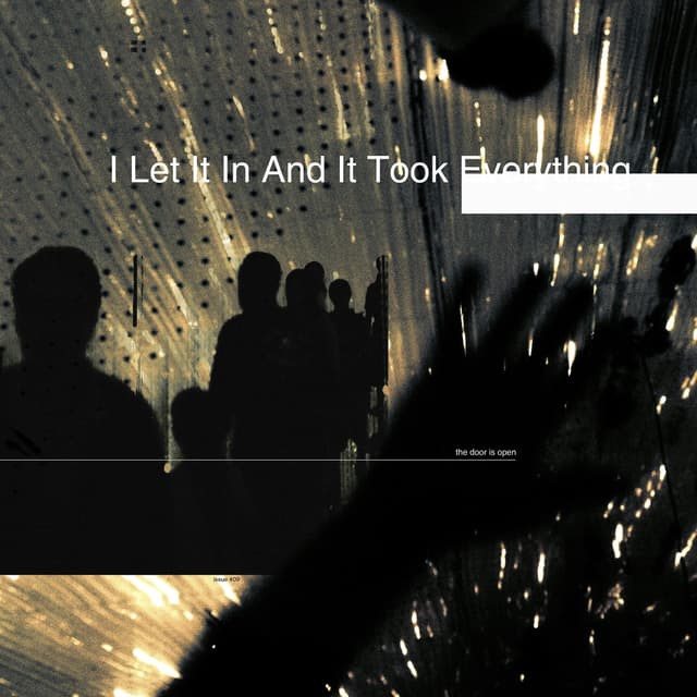 Album cover art for I Let It In and It Took Everything