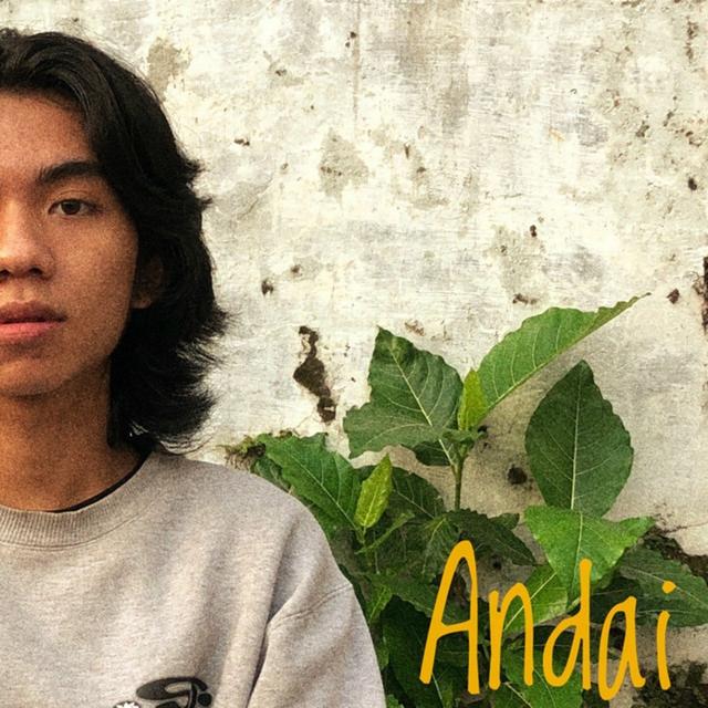Album cover art for Andai