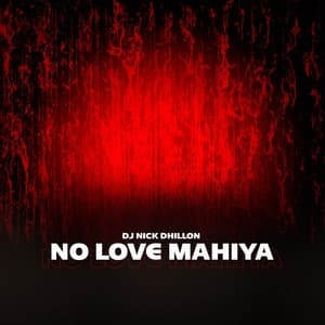 Album cover art for No Love Mahiya