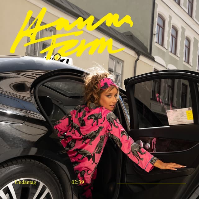 Album cover art for Undantag
