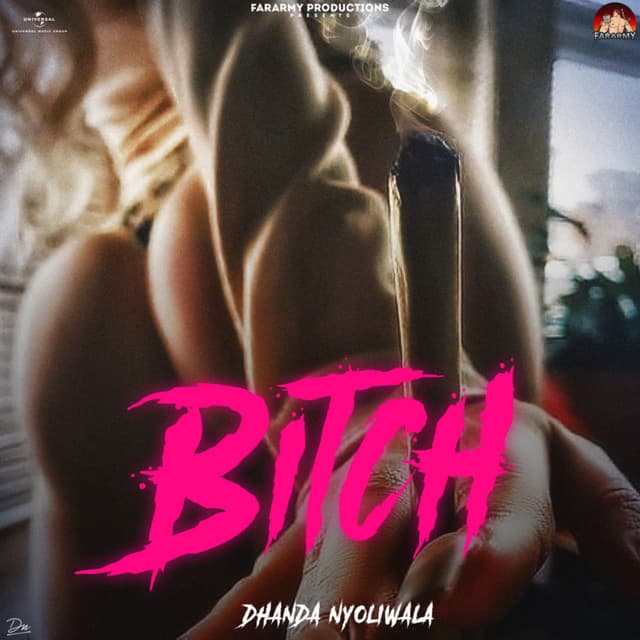 Album cover art for Bitch
