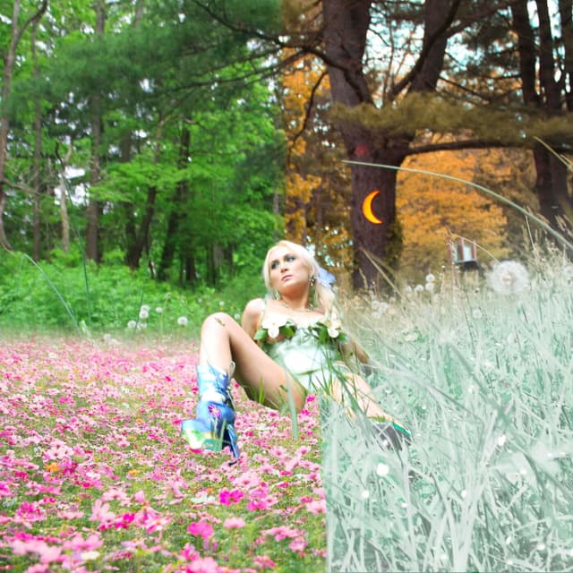 Album cover art for SEASONS