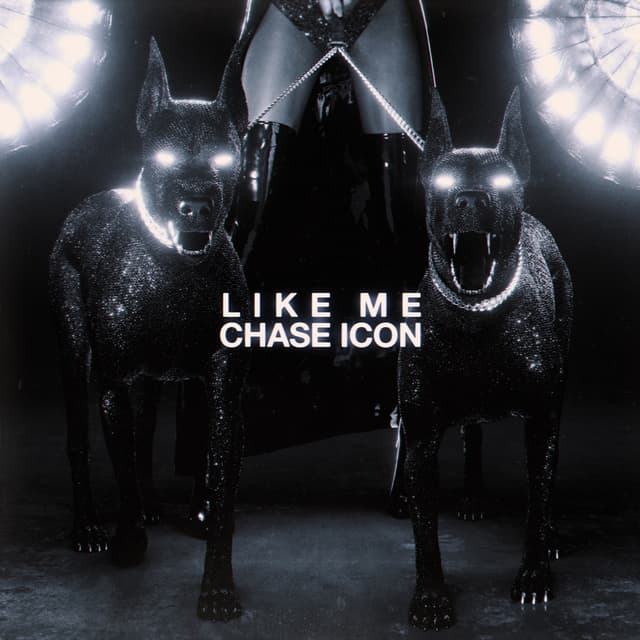 Album cover art for Like Me