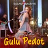 Gulu Pedot