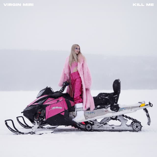 Album cover art for Kill Me