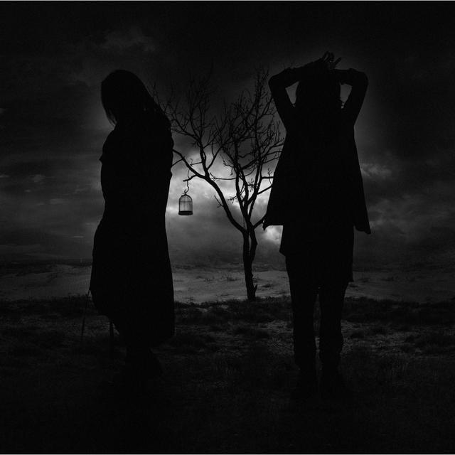 Album cover art for 黒と影