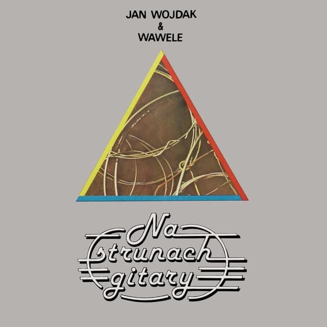 Album cover art for Na Strunach Gitary