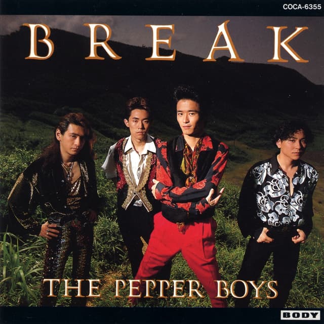 Album cover art for ブレイク