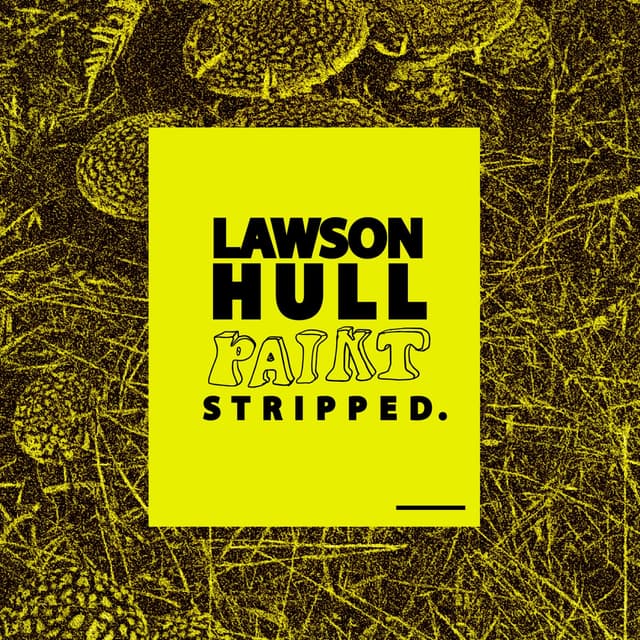 Album cover art for Paint (Stripped)