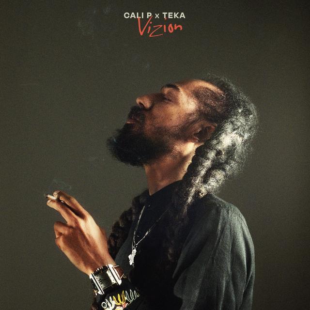 Album cover art for Vizion