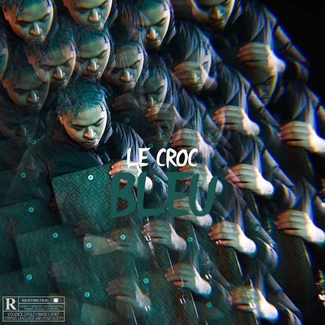 Album cover art for Bleu