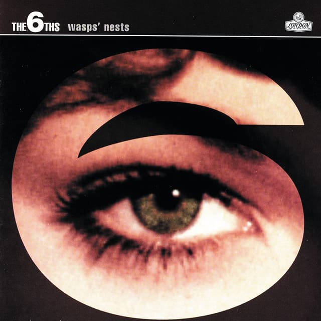 Album cover art for Wasps' Nests