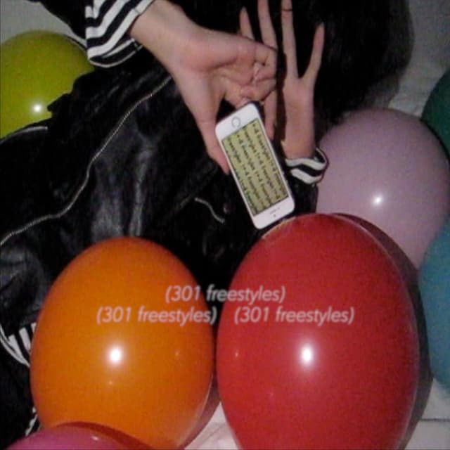 Album cover art for 301 freestyles