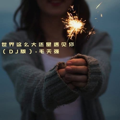 Album cover art for 世界这么大还是遇见你