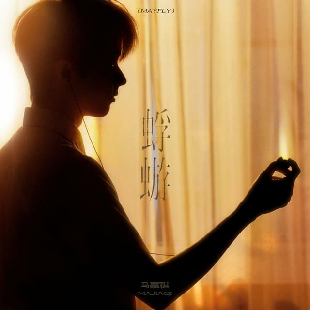Album cover art for 蜉蝣