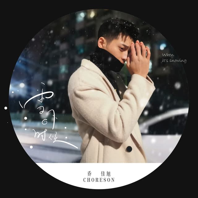 Album cover art for 雪下的时候