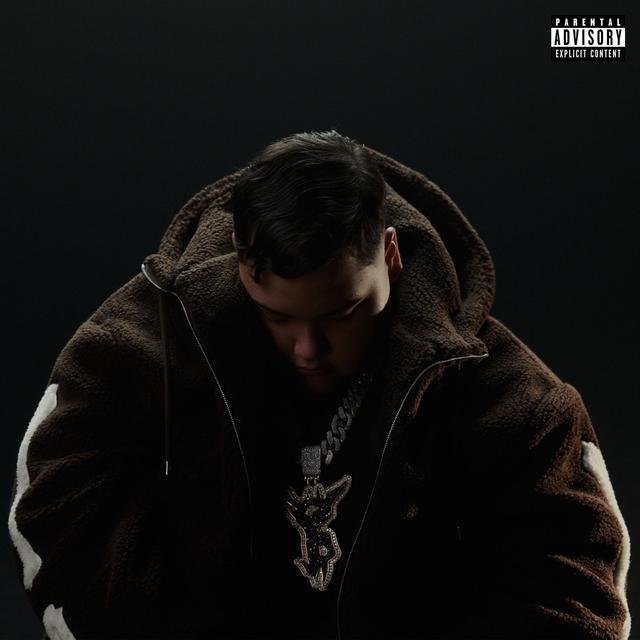 Album cover art for MAN IN BLACK