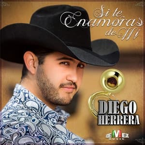 Album cover art for Si Te Enamoras de Mi