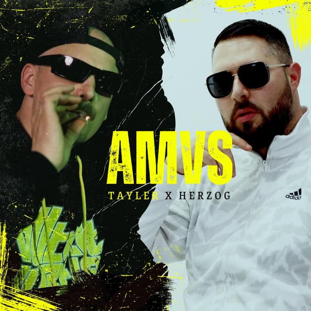 Album cover art for AMVS