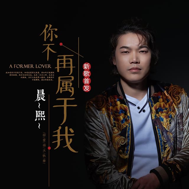 Album cover art for 你不再属于我