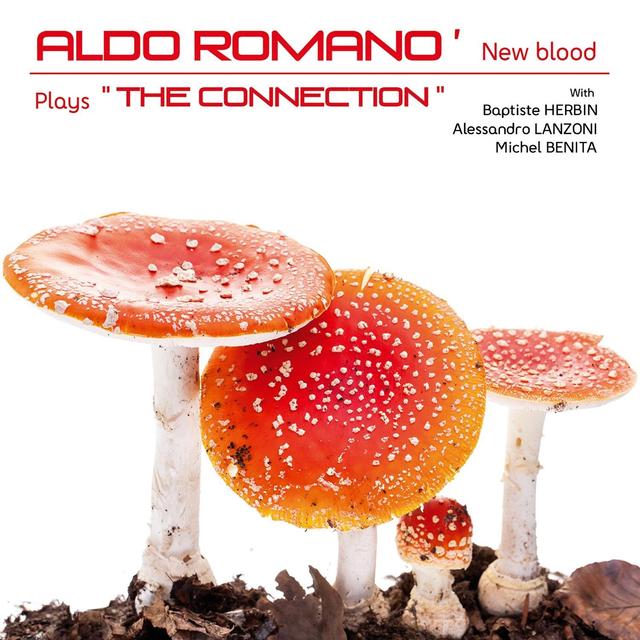 Album cover art for The Connection