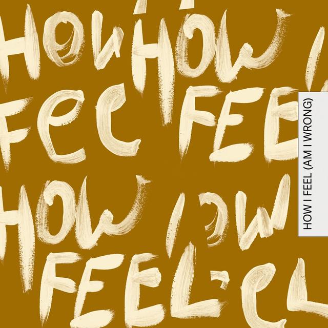 Album cover art for How I Feel (Am I Wrong)