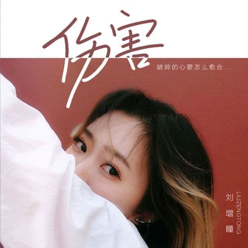 Album cover art for 伤害