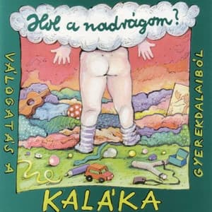 Album cover art for Hol A Nadrágom?