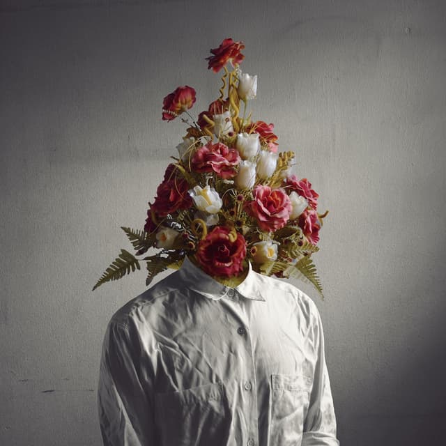 Album cover art for Let's Be Adult